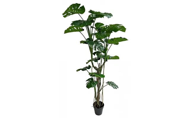 Stor Kunstig Monstera Plante H240 Cm