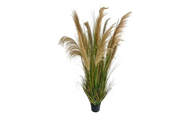 Stor Kunstig Pampas Græs Plante H185 Cm