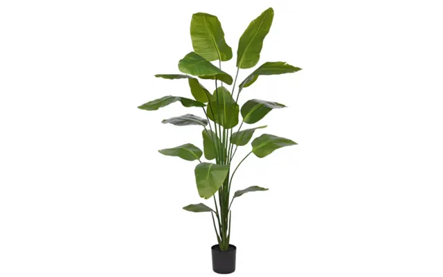 Stor Kunstig Strelitzia Plante H210 Cm - Grøn