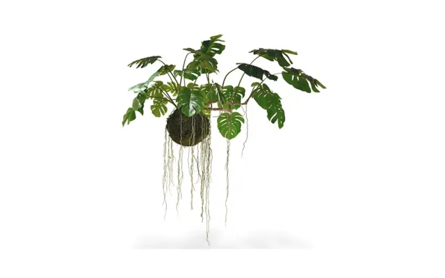 Stor Monstera Kunstig Moskugle Lian 110 - 160 Cm