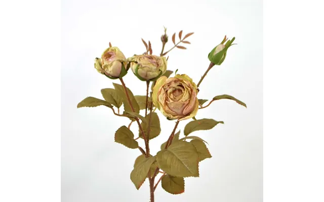 Buketrose I Creme Og Lyserød - 63 Cm