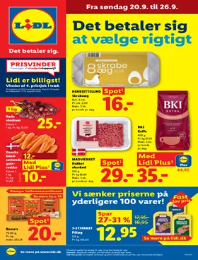 Lidl tilbudsavis