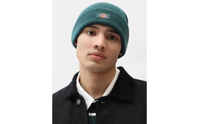 Dickies Gibsland Beanie Hue