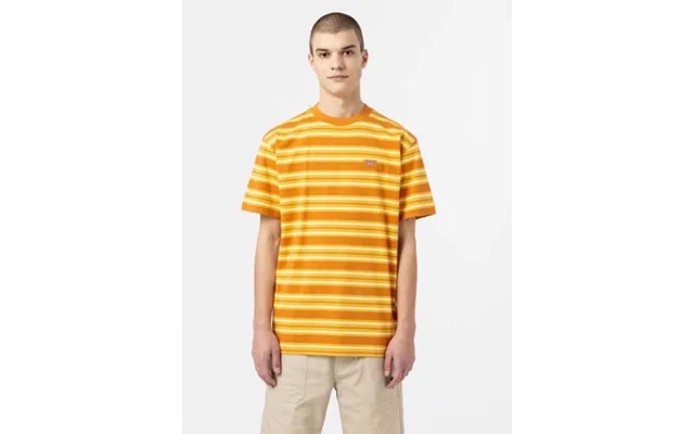Dickies Lynnwood Tee - Gul Orange