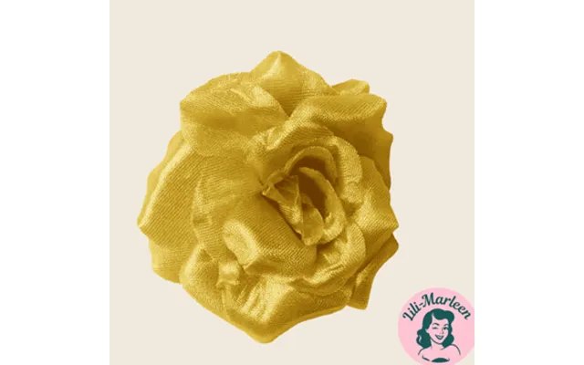 Hårblomst Guld Golden Rose