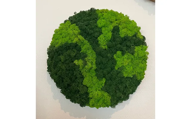 Blandet Mos Cirkel 30 Cm. - Restsalg