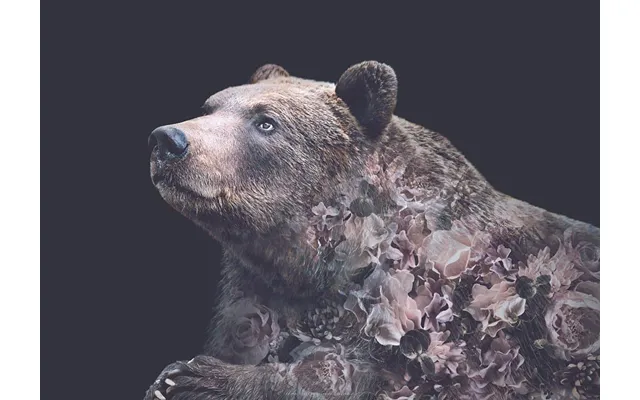 Flower Portraits Bjørn A5