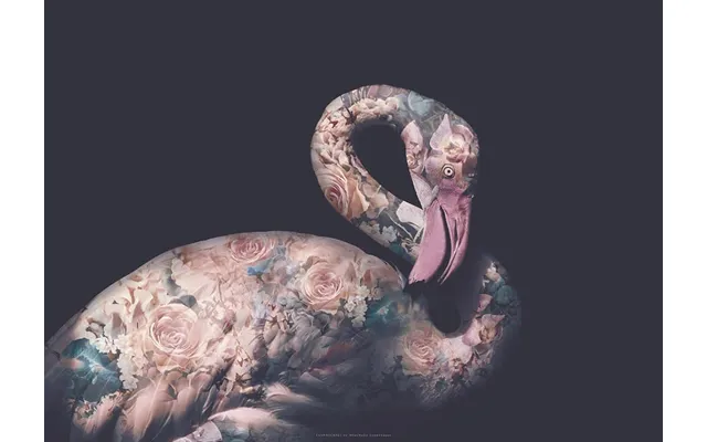 Flower Portraits Flamingo A5