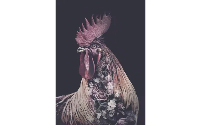 Flower Portraits Hane A5