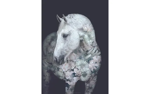 Flower Portraits Hest A5