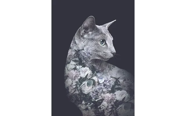 Flower Portraits Kat A5