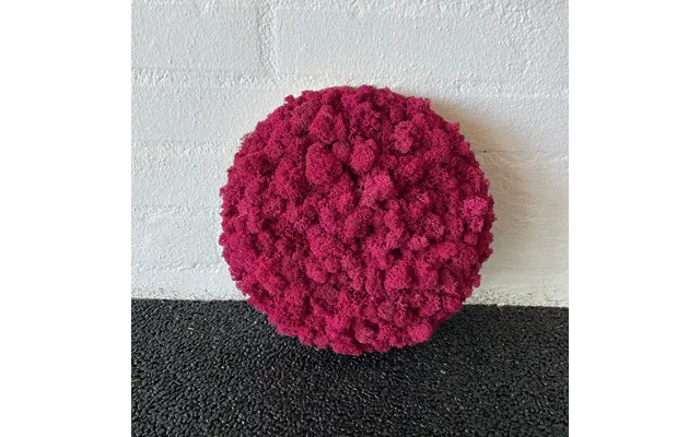 Fuchsia Mos Cirkel 25 Cm. 2. Sortering