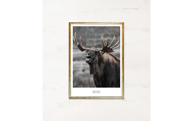 King Of Antlers A3