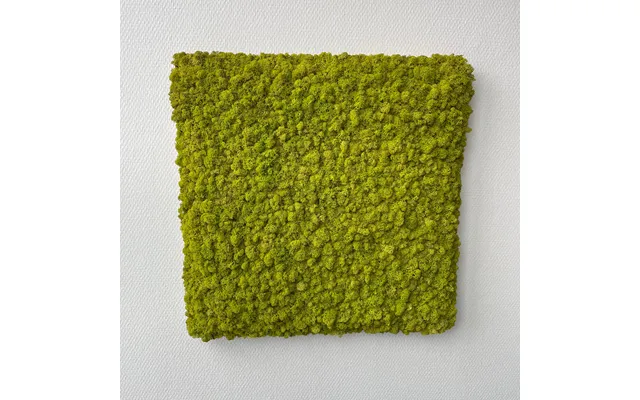Limegrøn Mos Firkant 50x50 Cm. - Restsalg
