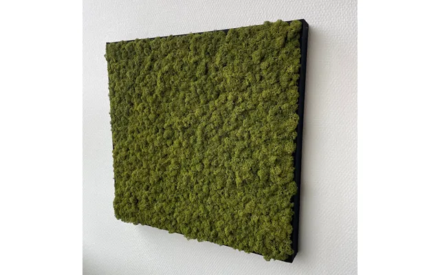 Mediumgrøn Mos Firkant 50x50 Cm. Med Filt Kant - Restsalg
