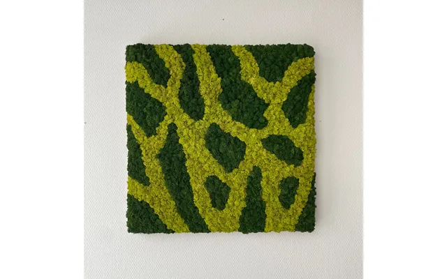 Mos Firkant - 2 Farver, 50x50 Cm.