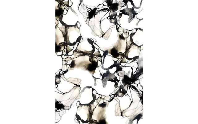 Organism A3