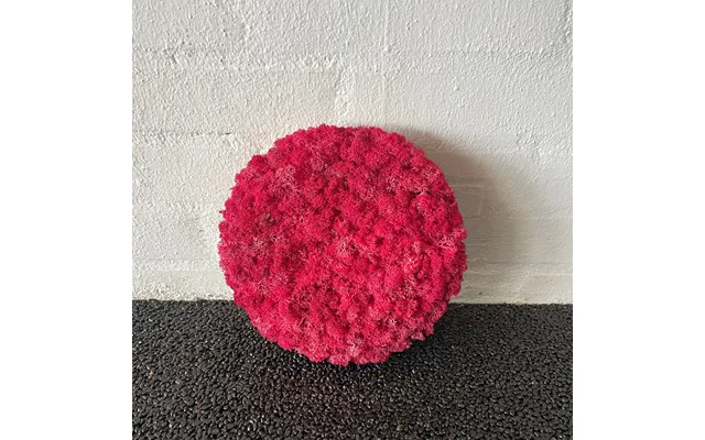 Rød Mos Cirkel 20 Cm. 2. Sortering - Udgået Farve
