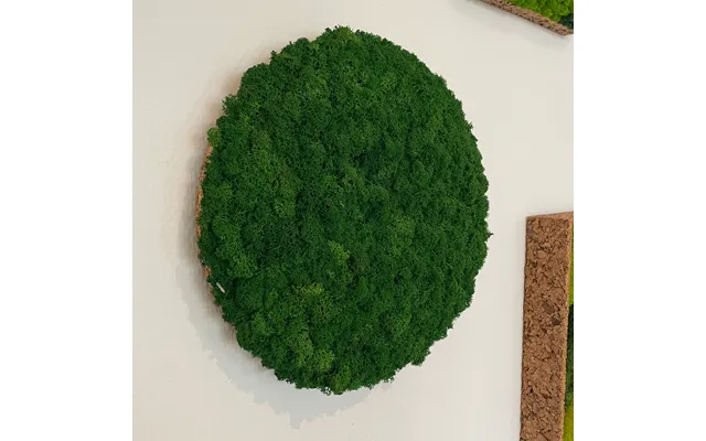 Skovgrøn Mos Cirkel 30 Cm. - Restsalg
