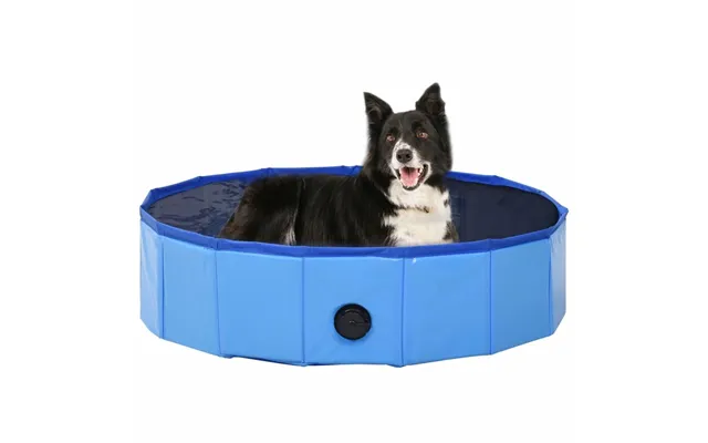 Foldbart Hundebassin I Pvc - 80 × 20 Cm, Blå