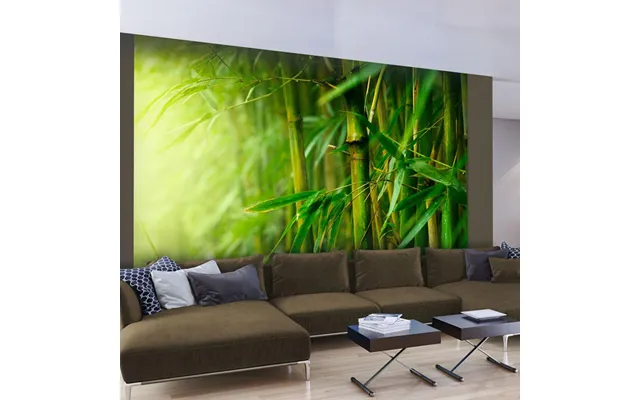 Fototapet - Jungle