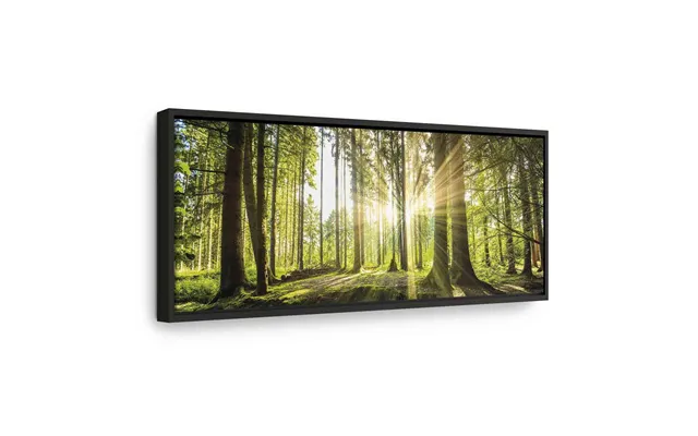 Lærredsbillede Daylight Med Skovlandskab - 90 X 30 Cm