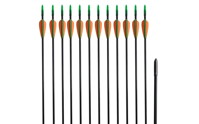Recurve Buepile I Glasfiber 30 - 12 Stk., 0,6 Cm Skaft