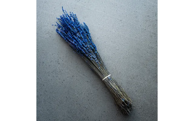Blå Lavendel Bundt