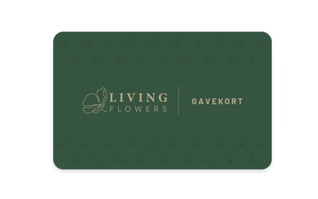 Gavekort Via Email