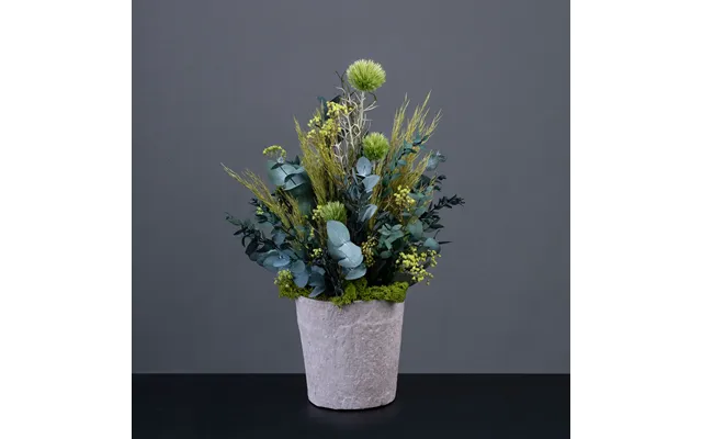 Grøn Hope Blomsterdekoration I Potte