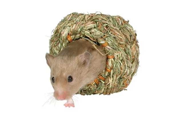 Græshule Til Hamster Ø 16cm