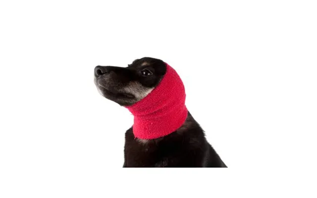 Hoodies For Ears