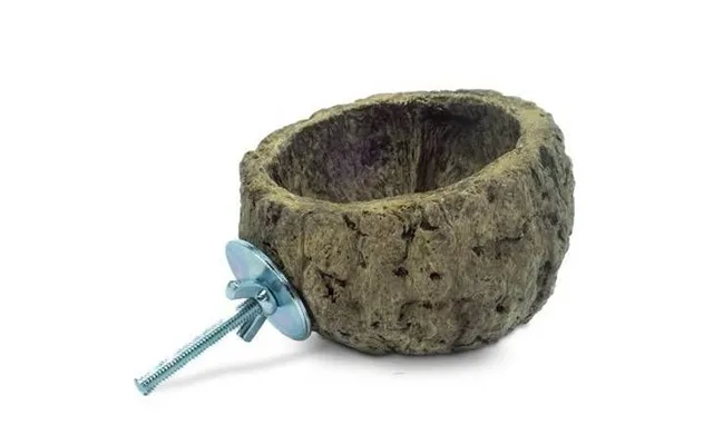Nature Discovery Bowl