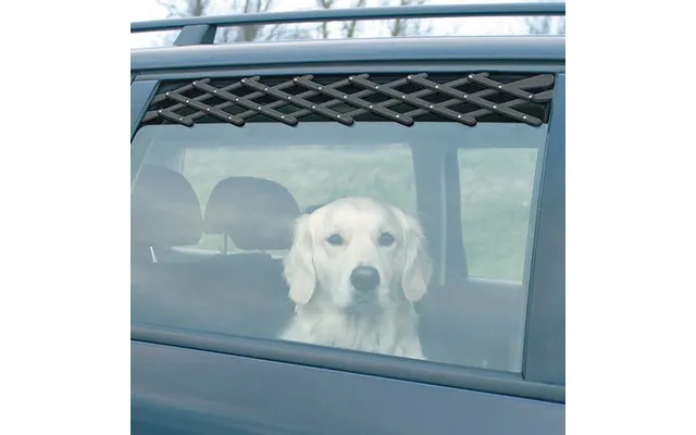 Ventilationsgitter Til Bilen
