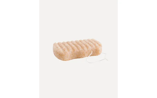 Organic Konjac Svamp Body - Walnut Shell