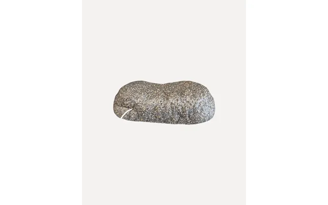Rebelle X Organic Konjac Body Sponge Mushroom & Walnut Shell