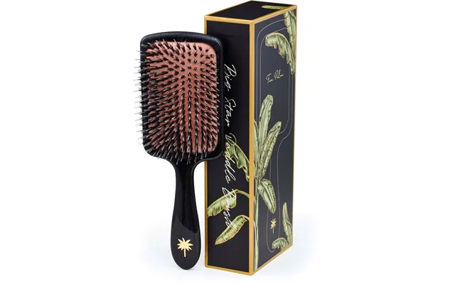 Fan Palm Large Paddle Brush Big Star