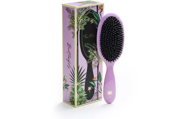 Fan Palm Medium Butterfly Brush