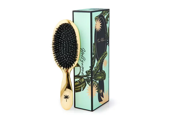 Fan Palm Medium Hollywood Brush