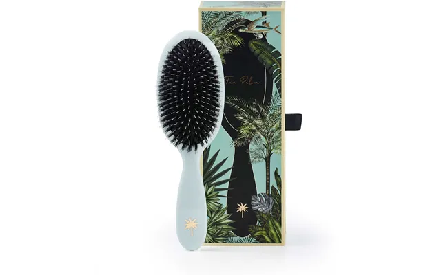 Fan Palm Medium Maldives Brush