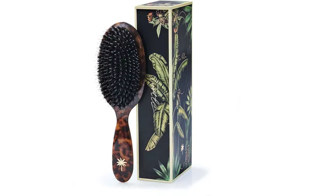 Fan Palm Medium Turtle Brush