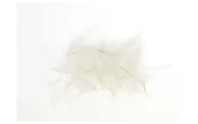 Flyco Cul De Canard Cdc-white