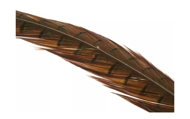 Flyco Ringneck Pheasant Tail Feathers 1 Pair