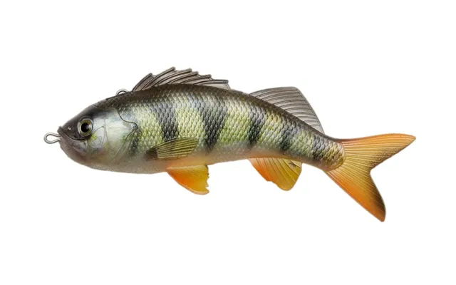 Pulzbait Skinz 15cm-perch-perch