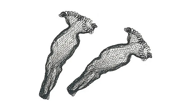 Snowbee Knotless Mesh Net