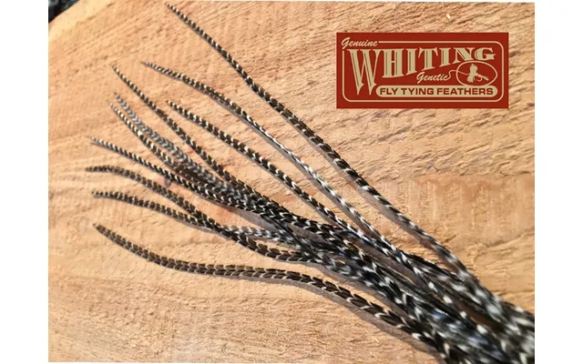 Whiting Flatwing Fjer-grizzly Dark Olive-ørred