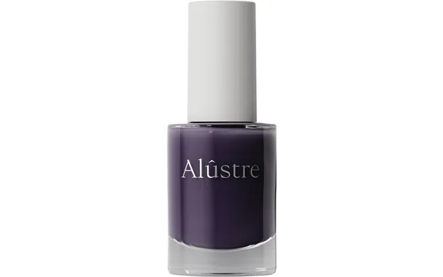 042t Top Coat - 10 Ml