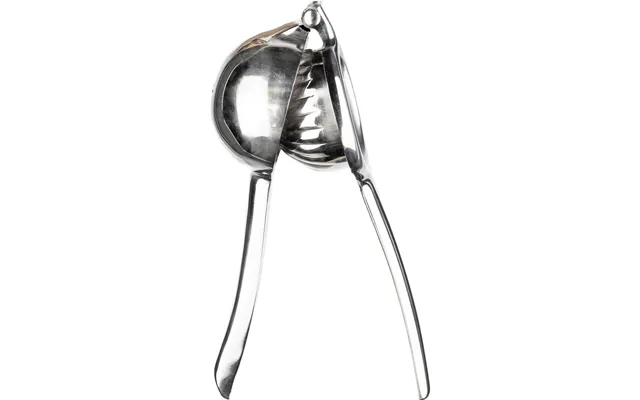 Citrus Juicer