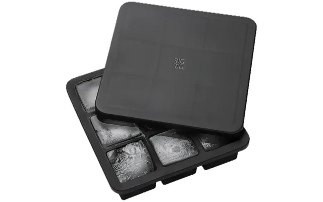 Freezeit Isterningbakke Med Låg H 5 Cm Black