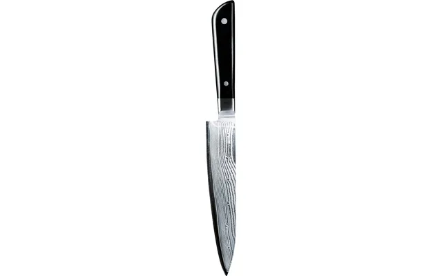 Fruit Kniv 15 Cm